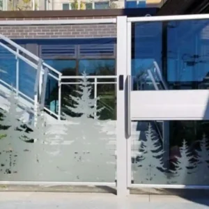 Glass fence and gate example